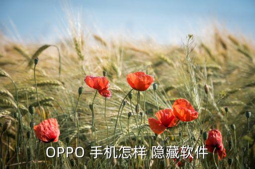OPPO 手机怎样 隐藏软件