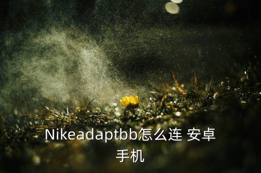 定制球鞋安卓系统软件