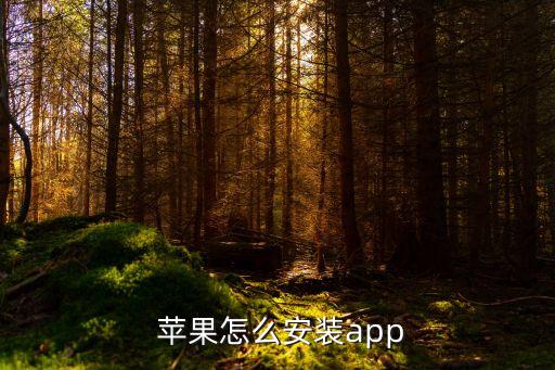 安装苹果手机系统软件,苹果手机不能更新系统软件安装不了怎么办