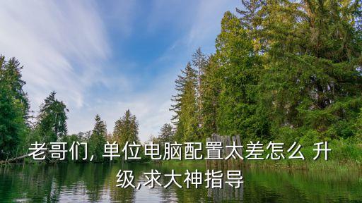 老哥们, 单位电脑配置太差怎么 升级,求大神指导