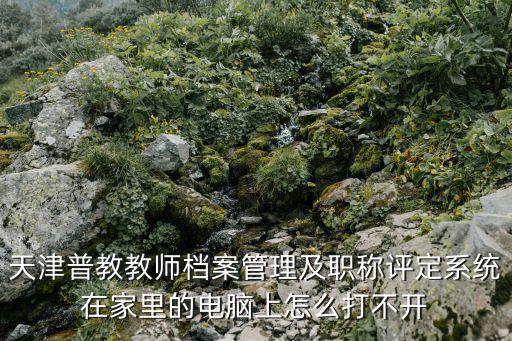 天津普教教师档案管理及职称评定系统在家里的电脑上怎么打不开