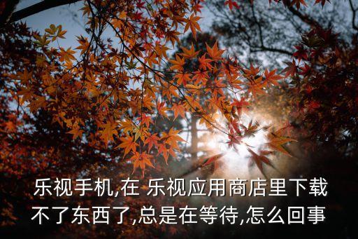  乐视手机,在 乐视应用商店里下载不了东西了,总是在等待,怎么回事