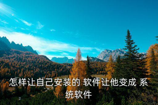 怎样让自己安装的 软件让他变成 系统软件