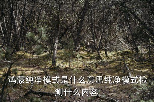 华为鸿蒙系统软件格式
