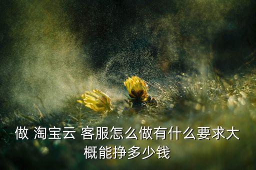 做 淘宝云 客服怎么做有什么要求大概能挣多少钱
