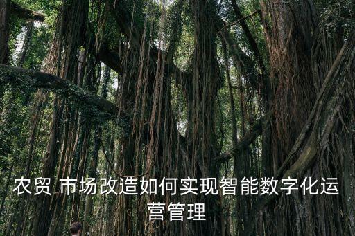 农贸 市场改造如何实现智能数字化运营管理