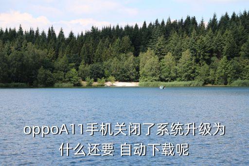 退出系统软件后自动更新,手机系统软件自动更新可以关闭吗
