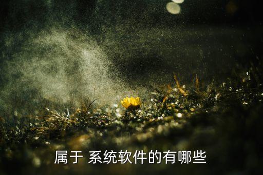 下列属于系统软件的是,系统软件包括哪些软件?