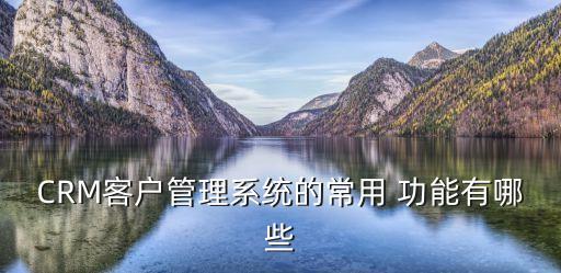CRM客户管理系统的常用 功能有哪些
