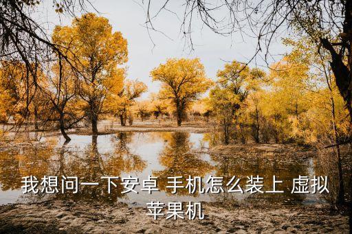 怎么给手机装虚拟系统软件,手机装系统软件哪个好