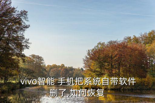  vivo智能 手机把系统自带软件删了,如何恢复