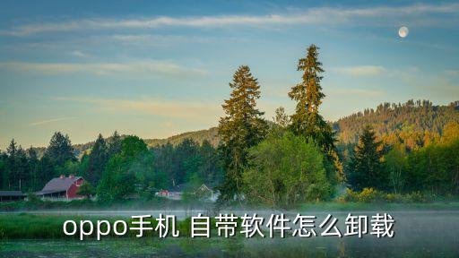 oppo手机 自带软件怎么卸载