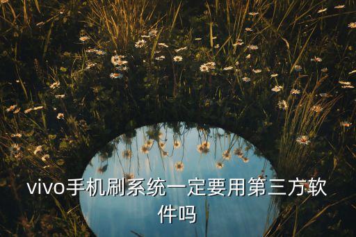 vivo手机刷系统一定要用第三方软件吗