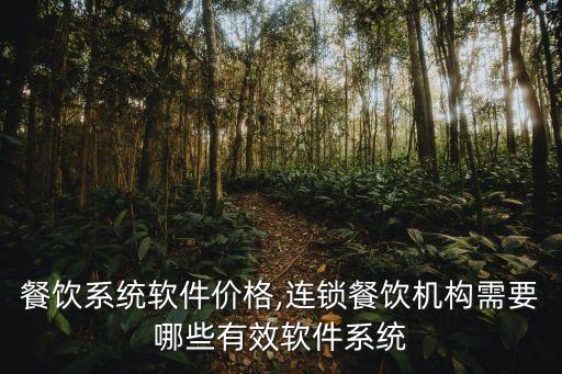 连锁餐饮系统软件价格,连锁餐饮机构需要哪些有效软件系统?