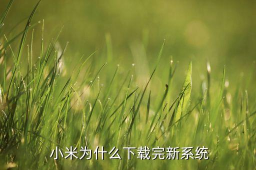 系统软件我的小米,小米不root卸载系统软件