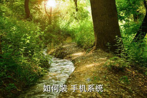 如何装 手机系统