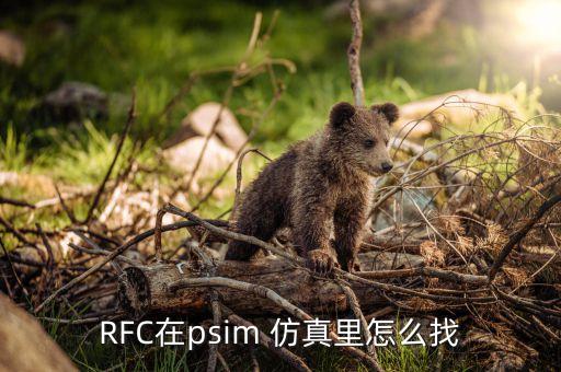 RFC在psim 仿真里怎么找