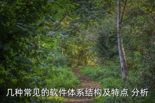 系统软件设计分析,单片机系统软件设计怎么写
