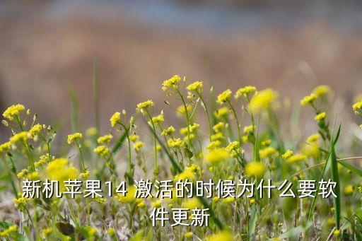 新机苹果14 激活的时候为什么要软件更新