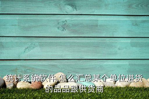 进货统计系统软件,怎么汇总某个单位进货的品品跟供货商?