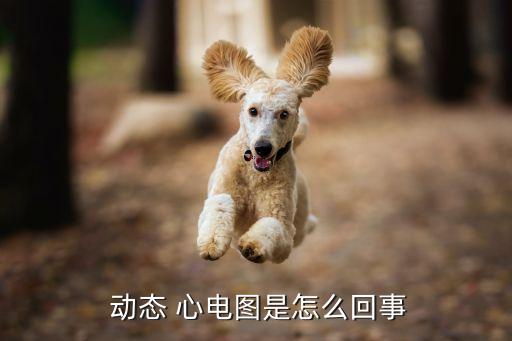 动态 心电图是怎么回事