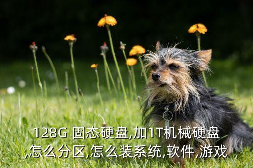 128G 固态硬盘,加1T机械硬盘,怎么分区,怎么装系统,软件,游戏