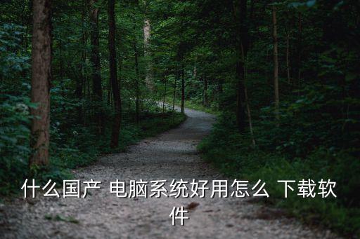什么国产 电脑系统好用怎么 下载软件