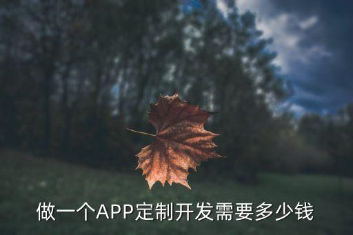 系统软件制作需要多少钱,开发app需要多少钱?