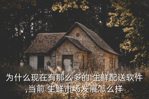 重庆江津生鲜系统软件,生鲜配送系统软件前5名