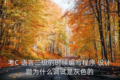 考C 语言二级的时候编写程序 设计题为什么调试是灰色的