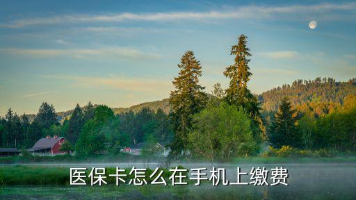 医疗卡刷卡系统软件,会员刷卡系统软件
