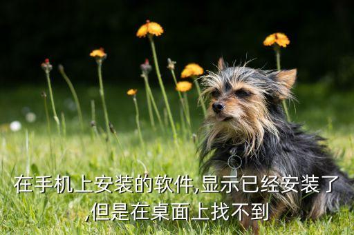 在手机上安装的软件,显示已经安装了,但是在桌面上找不到