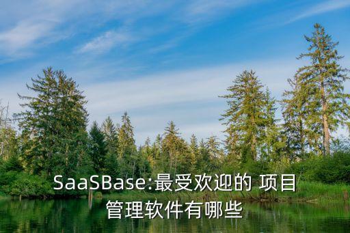SaaSBase:最受欢迎的 项目管理软件有哪些