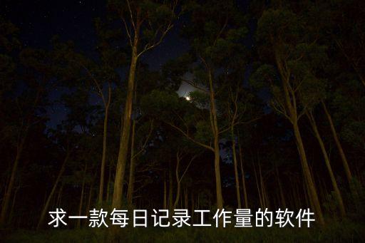 求一款每日记录工作量的软件