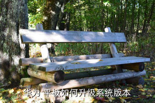 华为 平板如何升级系统版本