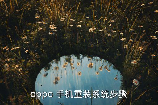 oppo 手机重装系统步骤