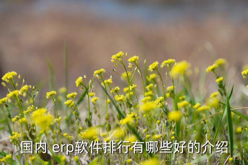国内 erp软件排行有哪些好的介绍