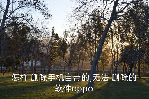 怎样 删除手机自带的,无法 删除的软件oppo