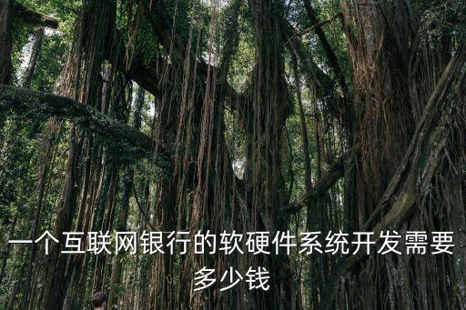 一个互联网银行的软硬件系统开发需要多少钱