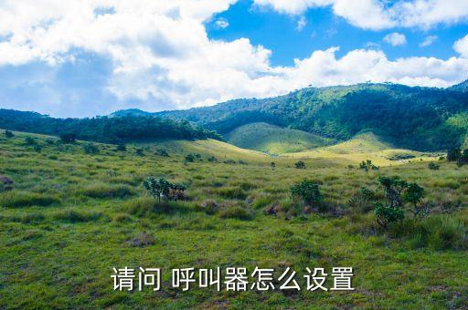 请问 呼叫器怎么设置