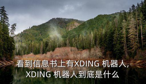 看到信息书上有XDING 机器人,XDING 机器人到底是什么