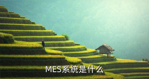 MES系统是什么