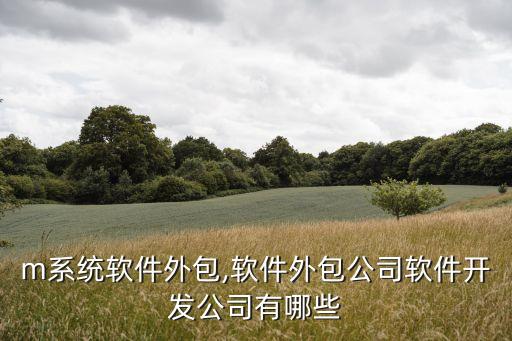 crm系统软件外包,软件外包公司-软件开发公司有哪些?
