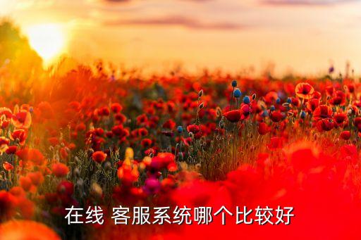 在线 客服系统哪个比较好