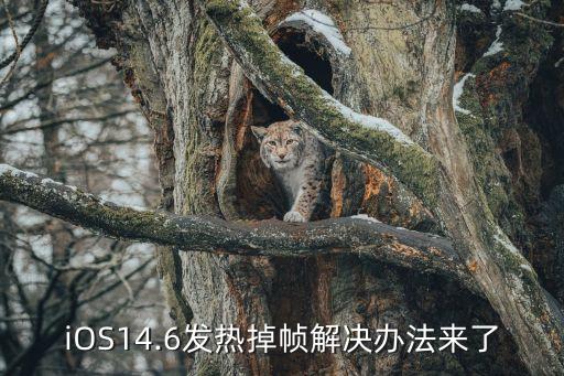 iOS14.6发热掉帧解决办法来了