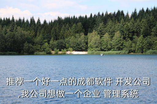 推荐一个好一点的成都软件 开发公司,我公司想做一个企业 管理系统