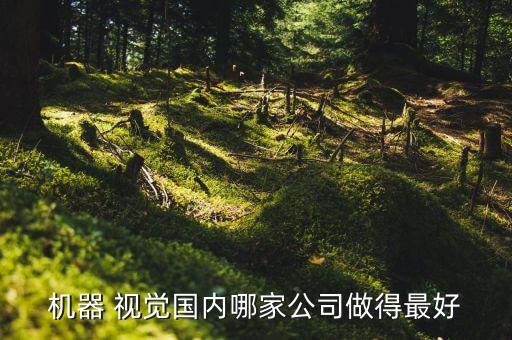 康奈视觉系统软件,了解更多机器视觉系统的详情
