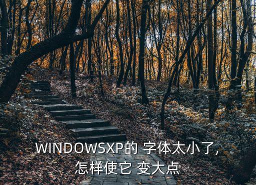 WINDOWSXP的 字体太小了,怎样使它 变大点