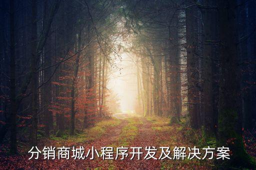  分销商城小程序开发及解决方案