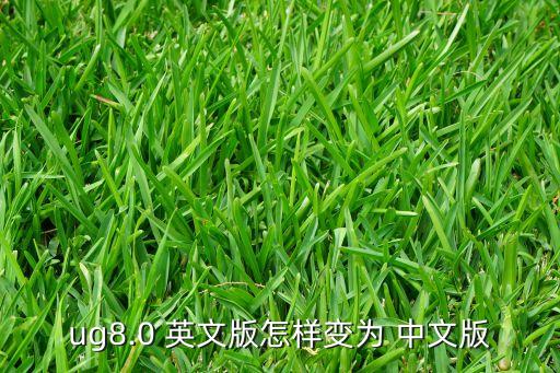 ug8.0 英文版怎样变为 中文版